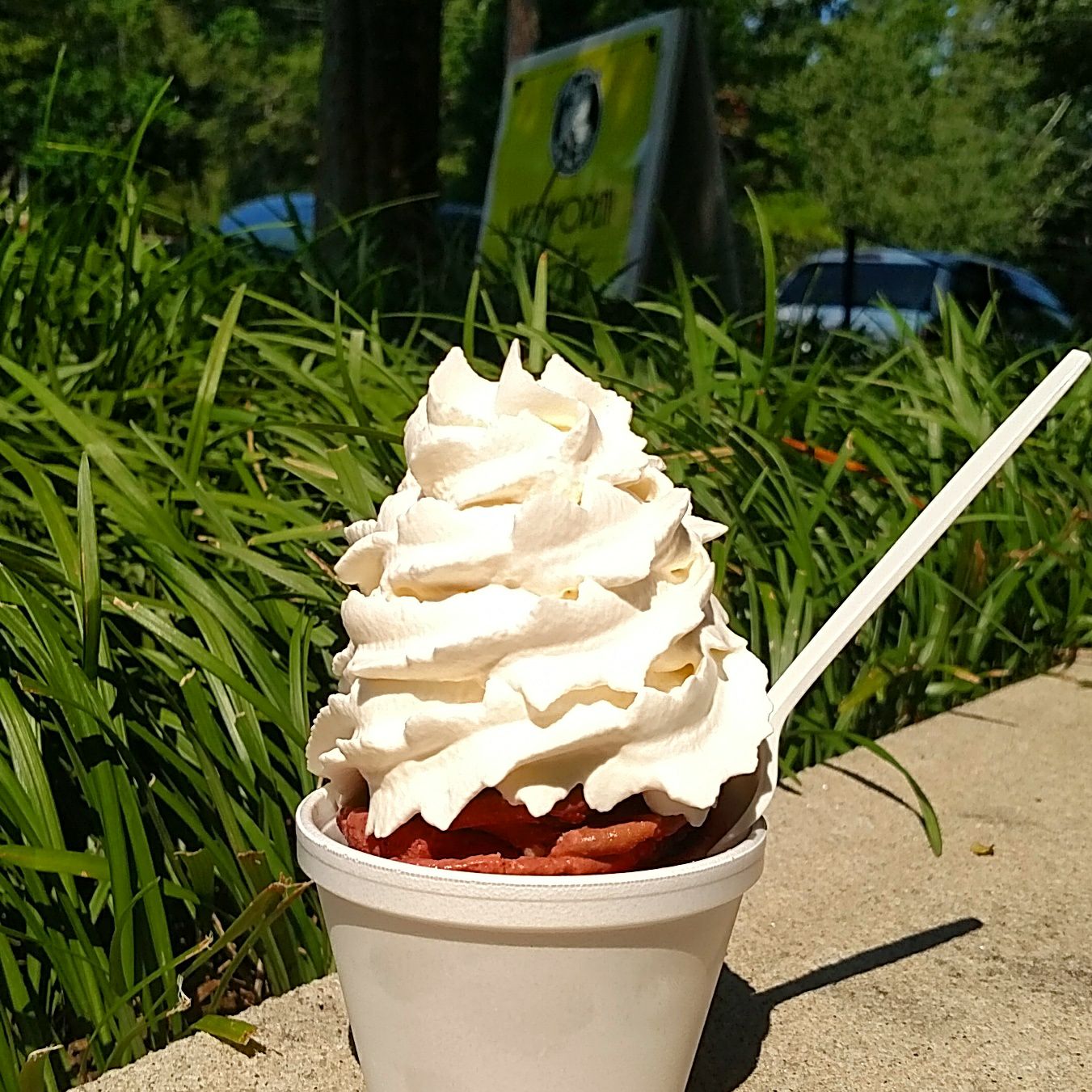 Ice cream in a cup, topped with whipped cream